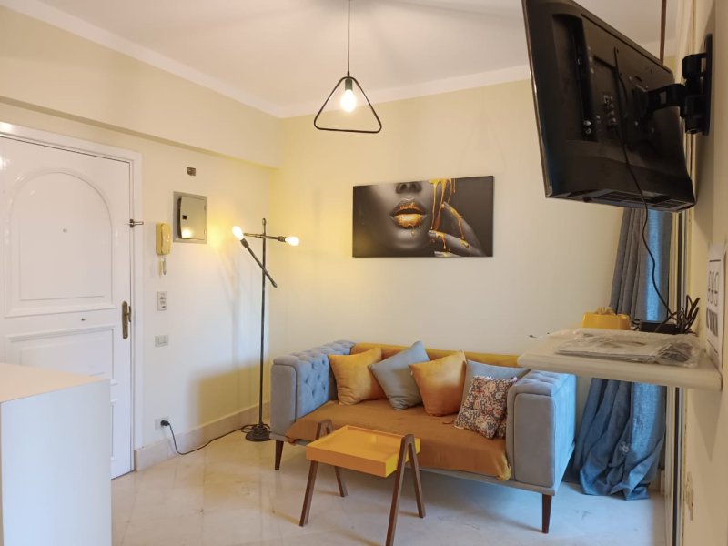 One Bedroom Apartment With 2 Terraces
